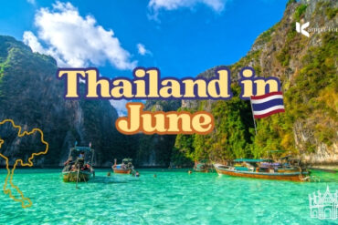 Stavros the Masseur: Global Healing Journeys